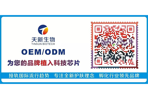 科技賦能 創新發展